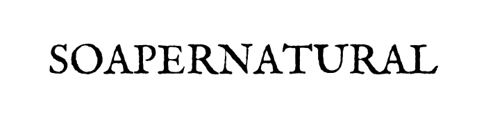 Soapernatural logo